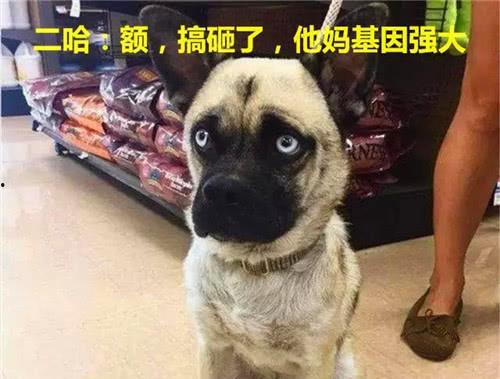 巴哥爆料山治视频在线观看,山治视频在线观看，精彩瞬间不容错过！  第2张